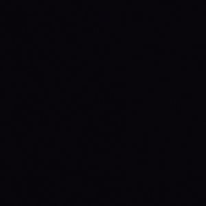 Meet your Posher, Bobbie